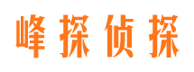 岭东市私家侦探